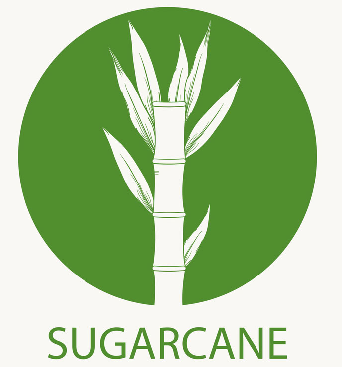 Organic cane alcohol certification means that sugar cane
farmers and businesses have met strict standards for the
growing, processing and handling of their products. If you
see the USDA organic seal, the cane alcohol product is
certified organic and has 95 percent or more organic
content. Organic cane alcohol production emphasizes all
natural processes and ingredients.